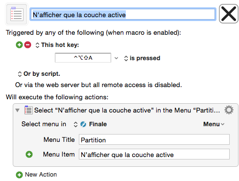 N’afficher que la couche active.png