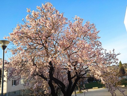 image0000001001 (1).jpg